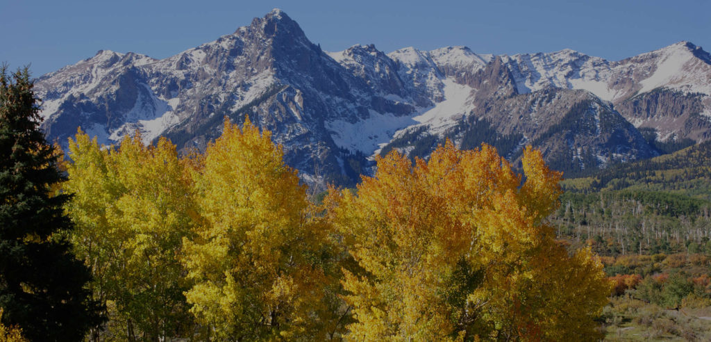Mountains and Trees