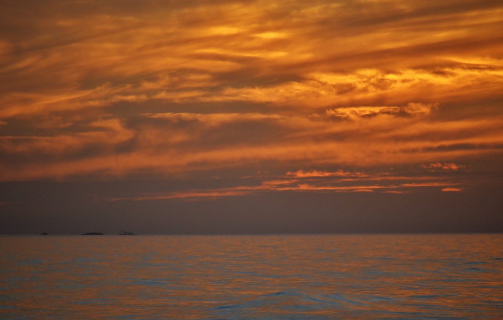 gulf coast