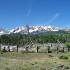 woodfence